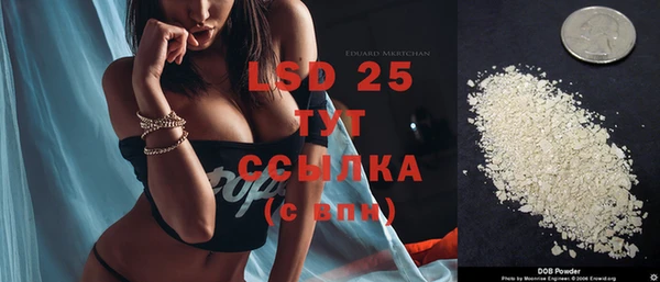 мяу мяу мука Новодвинск