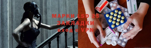 прущие грибы Нефтекумск