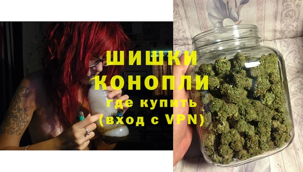 прущие грибы Нефтекумск