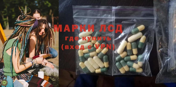 прущие грибы Нефтекумск