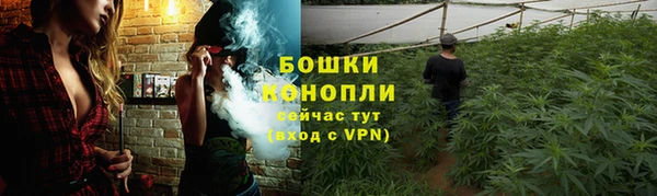 трава Нея